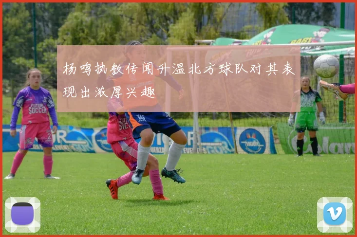 杨鸣执教传闻升温北方球队对其表现出浓厚兴趣
