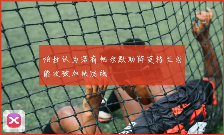 帕杜认为若有帕尔默助阵英格兰或能攻破加纳防线